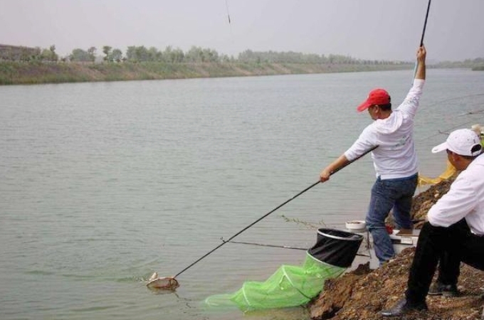 高手钓鲢鳙教学,大师钓鳊鱼技巧调漂
