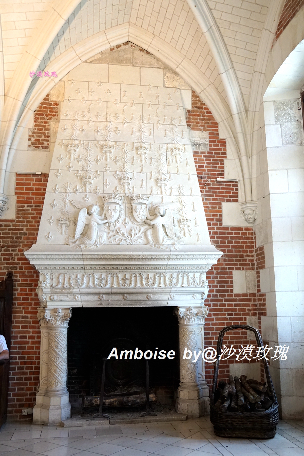 法国卢浮宫纪念达芬奇,达芬奇与法国国王