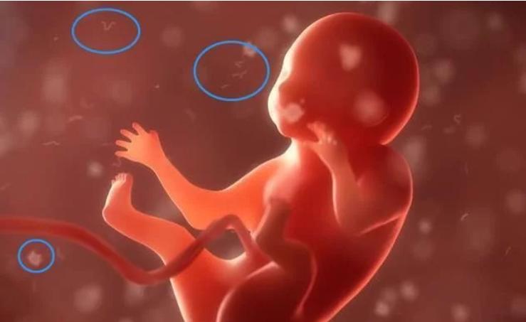 孕妇快生了咳嗽怎么治最快最有效,怀孕初期有感冒咳嗽怎么办