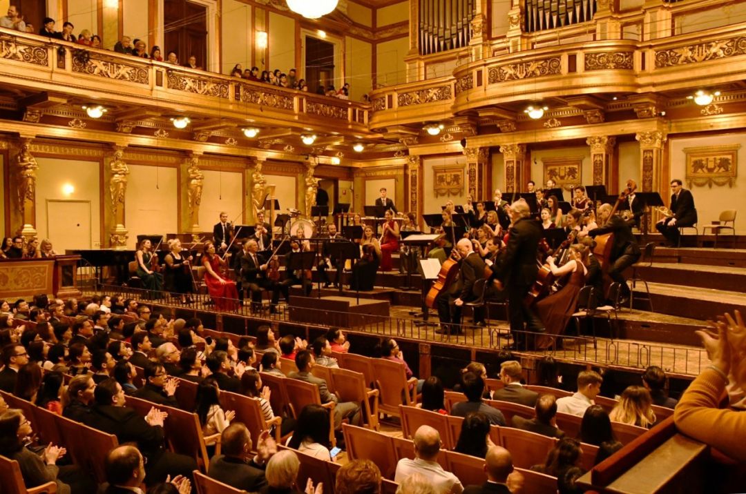 维也纳现在情况,维也纳到底有多可怕