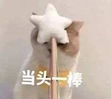 天猫买到假货拉杆箱,旗舰店买行李箱是真的吗