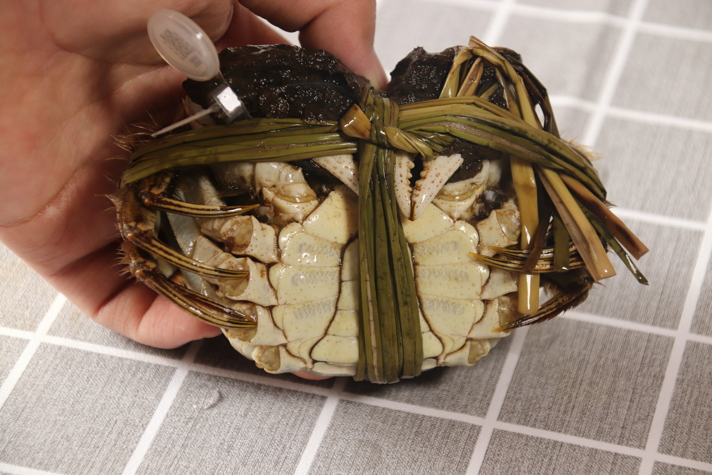 蒸螃蟹要不要焯水,蒸螃蟹热水下锅还是冷水下锅好