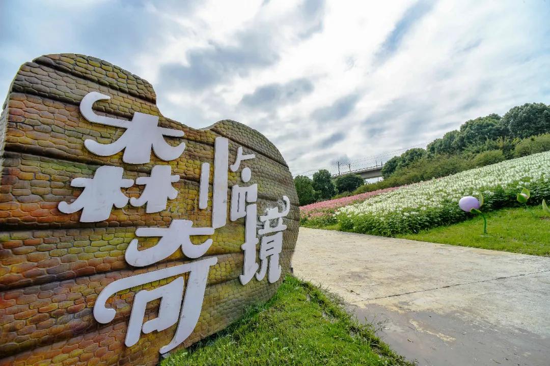 成都三圣乡恐龙主题公园,三圣乡恐龙主题公园地址