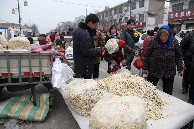 海归创业亏1700万,海归博士年收入八万万