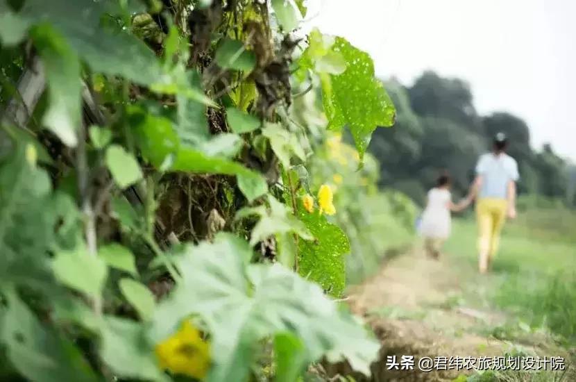 湘御明月湖,湘御明月湖山庄钓鱼
