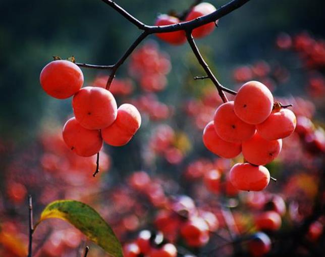 翻脸不认人的人最可怕,人生我们要学会翻脸不认人