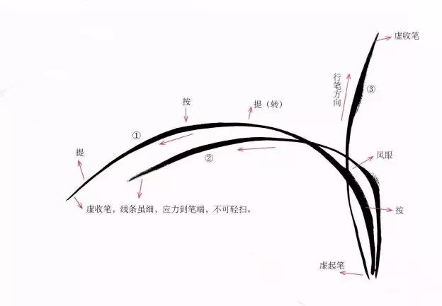 国画兰花绘画图,简单国画兰花画法教程