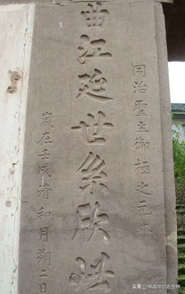 林森完整版免费观看,林森完整视频