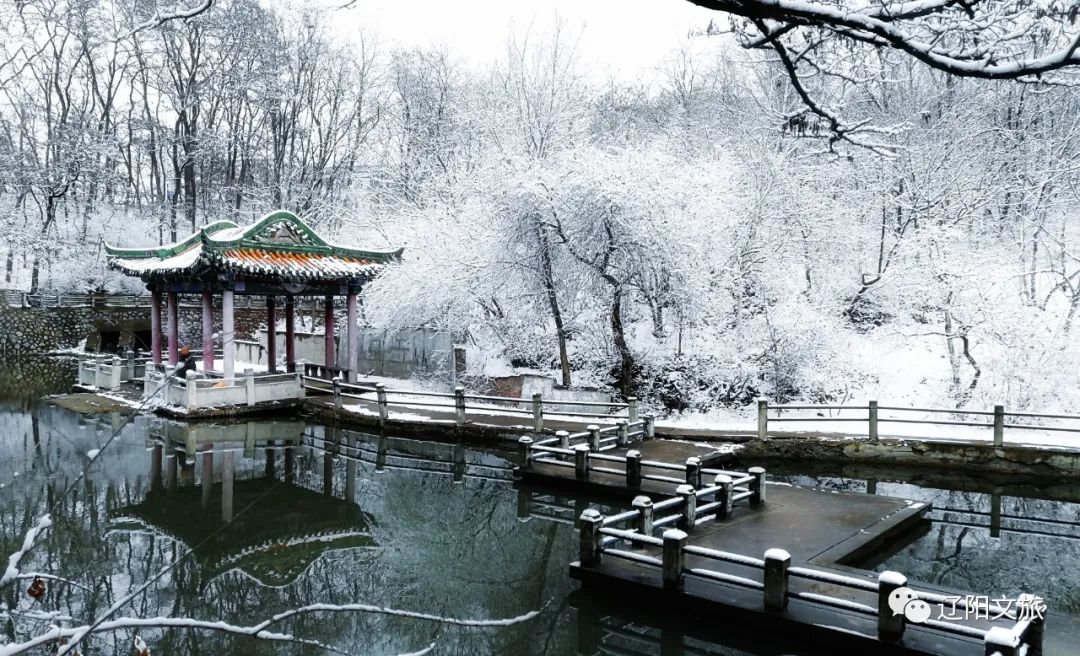 辽阳迎春灯会,辽阳迎春晚会