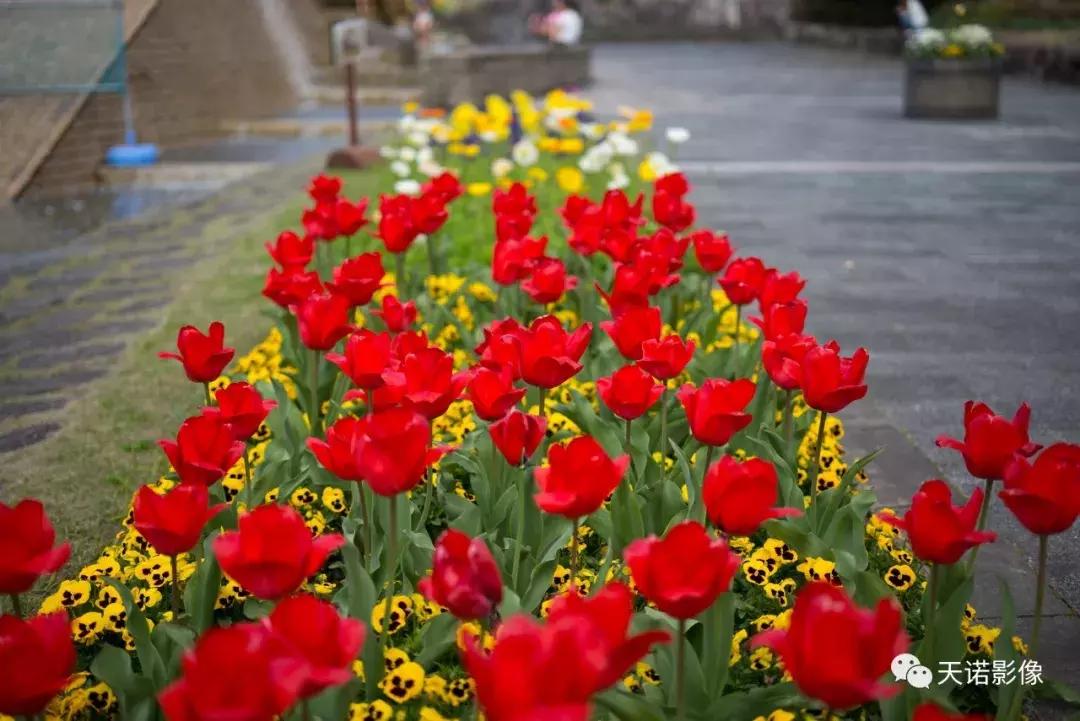 锐不可当字体图片,锐不可当的镜头