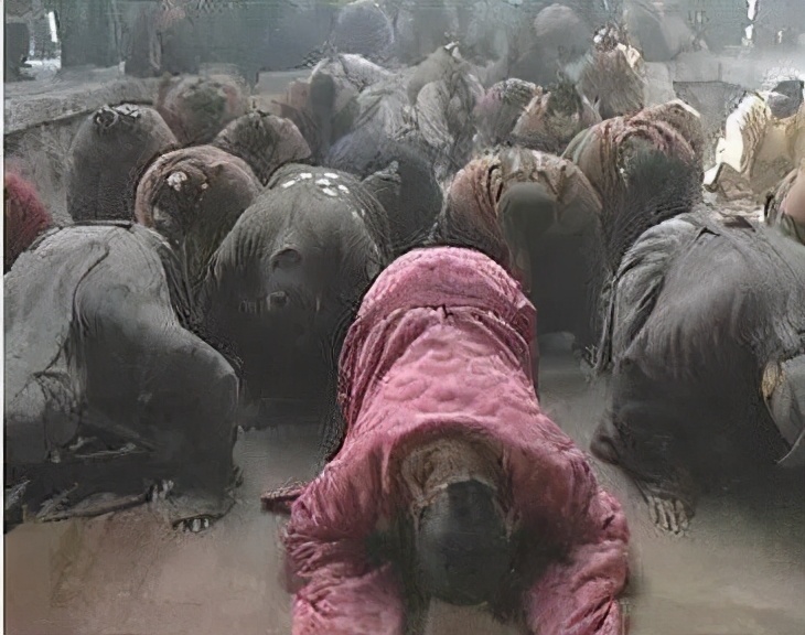 中国为什么没有环国赛,为什么赛博朋克注册显示没有网络