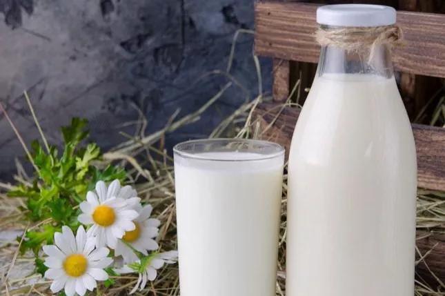 全国哪的纯奶最好喝,好喝的纯奶排行榜前十名