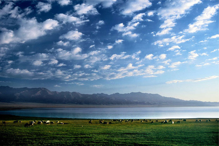 神秘消失的古国完整版,神秘消失的古国全集