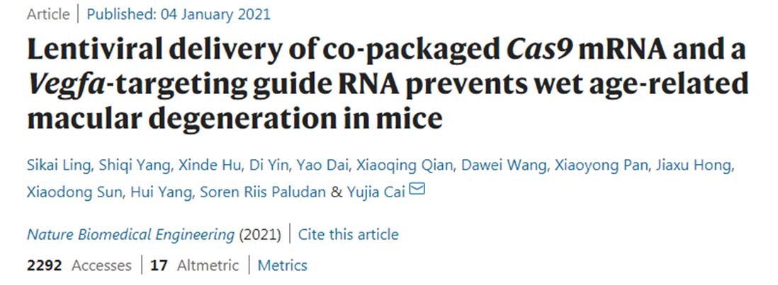 金斯瑞基因治疗发展,金斯瑞生物科技的未来