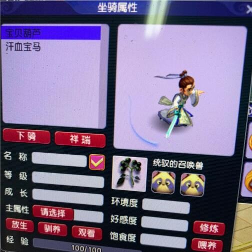 梦幻西游汴梁城战舞家族,梦幻西游汴梁城夺冠