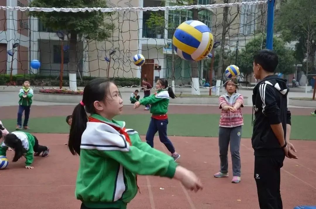 成都市中小学课后服务热门问题,成都公立小学课后服务都做些什么