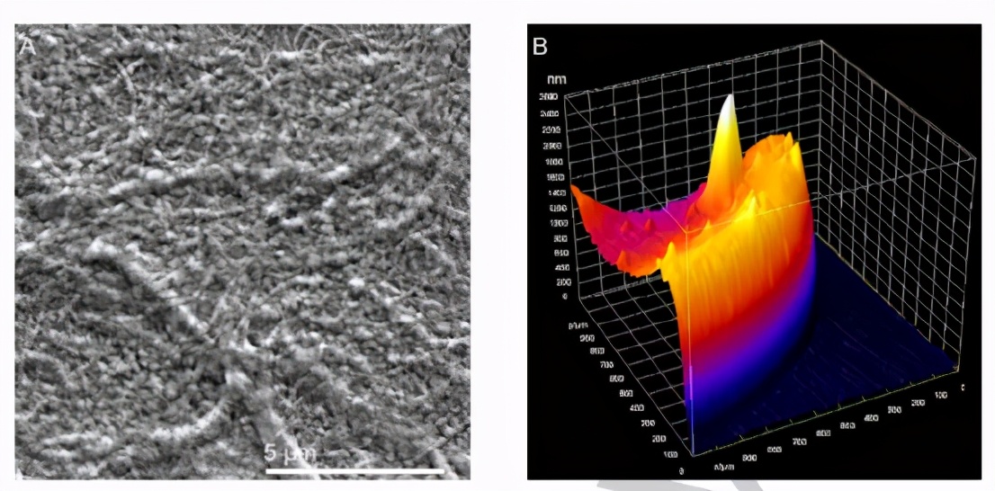 《Angew》混合淀粉样蛋白的氧化还原水凝胶用于生物电催化H2氧化