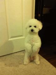 宝宝冬季头皮干燥头屑多怎么办,为什么头屑多了会导致头皮瘙痒