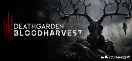 steam春季特卖2023免费游戏,steam永久会员游戏都免费么