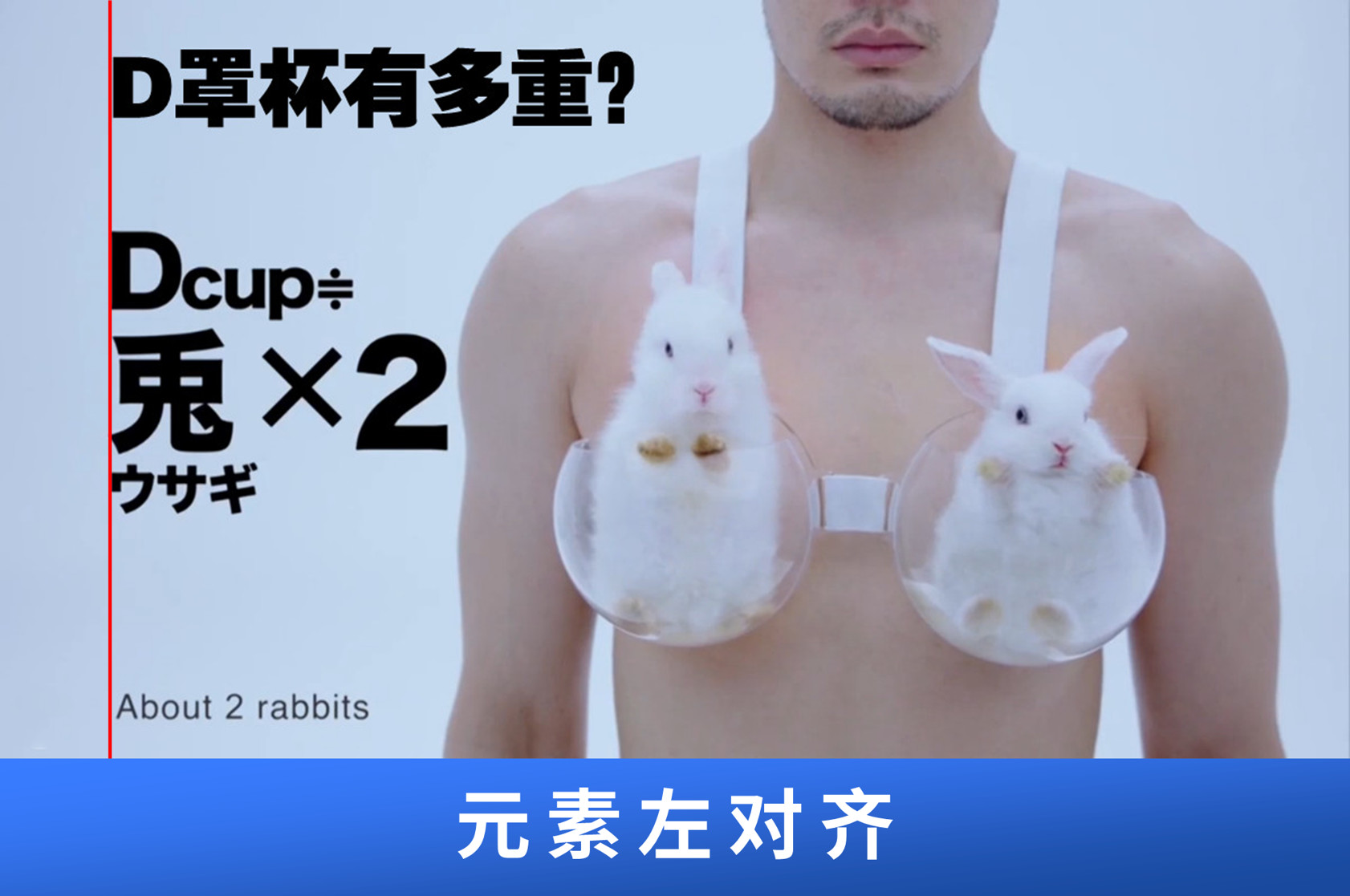 ppt中对齐原则中要对齐哪些要素,一分钟学会ppt多图对齐