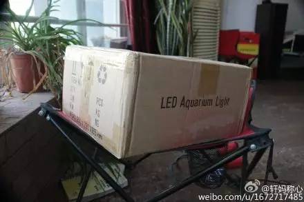 KELO钜彩照明LED水族灯试用活动鱼友评测详情（二）