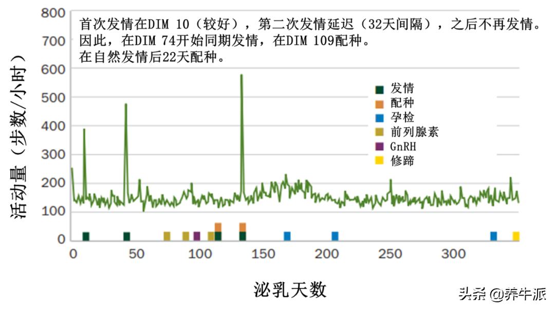 别再浪费成本！一些奶牛不需要同期发情