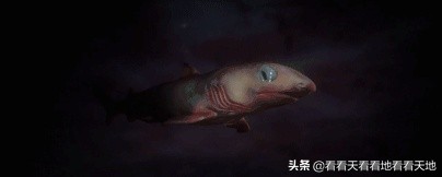 男人都是下半身动物？BBC来揭秘了！