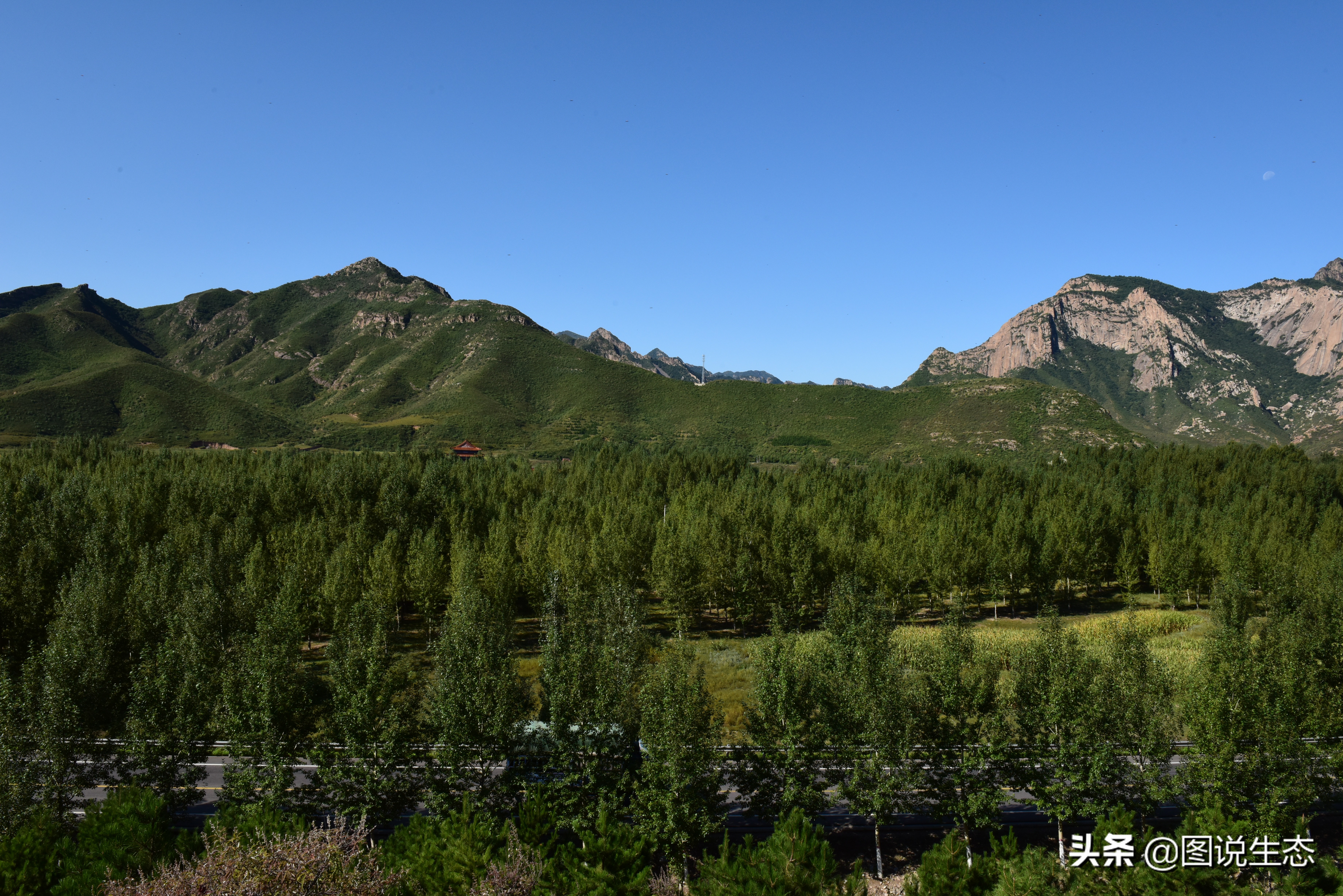 20年风雨治沙路，绿水青山秀丰宁