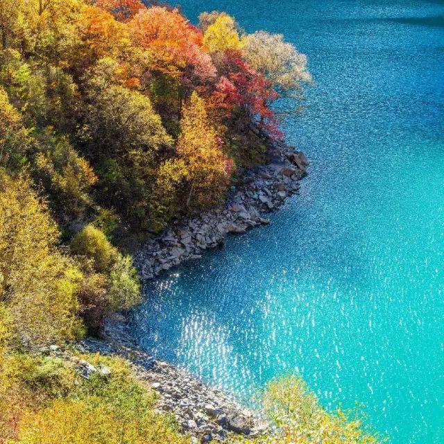 九寨沟旅游神奇的九寨,九寨沟风景不输瑞士