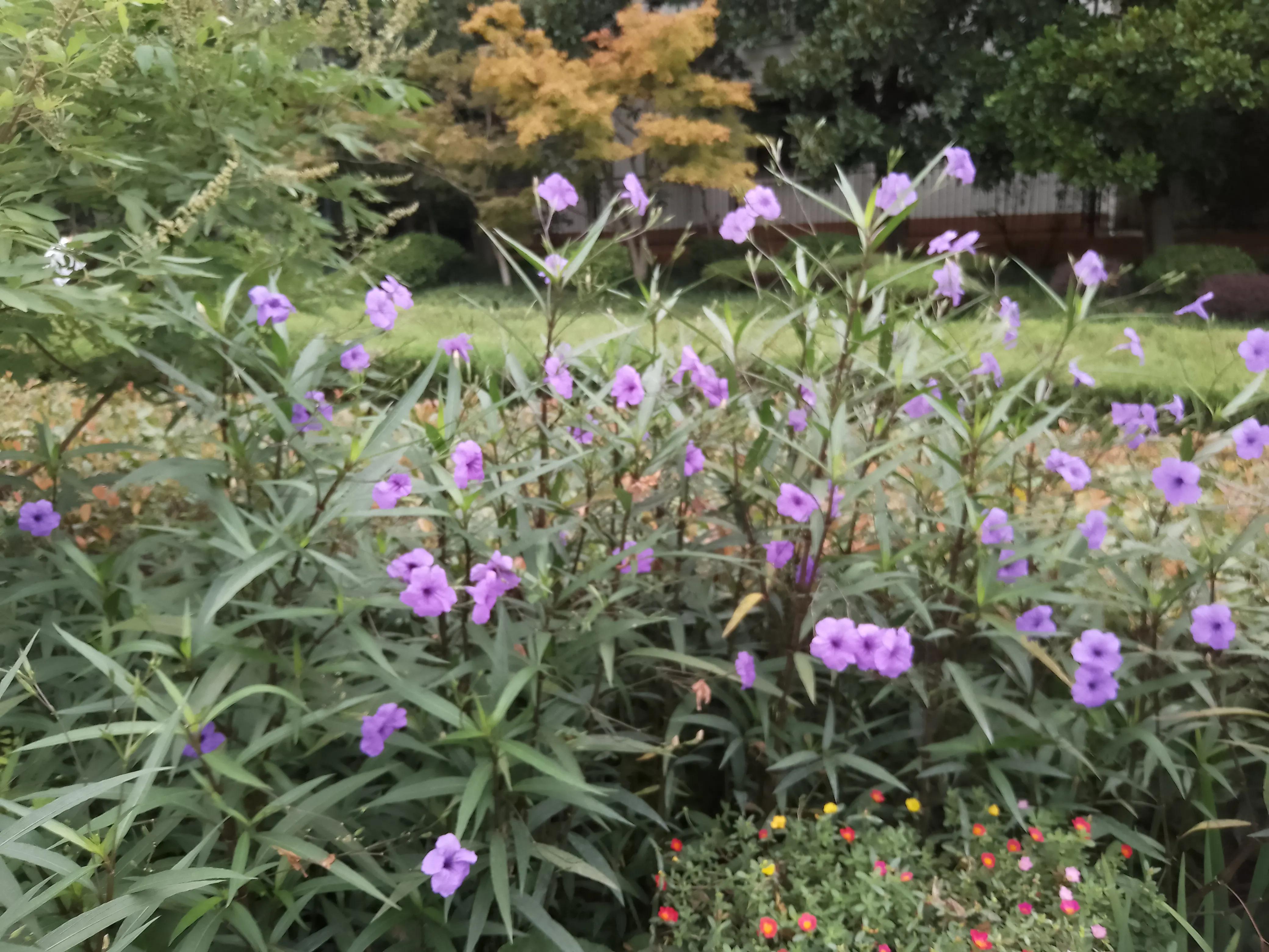 如何用一句话形容生产,怀孕到生产的辛苦与喜悦