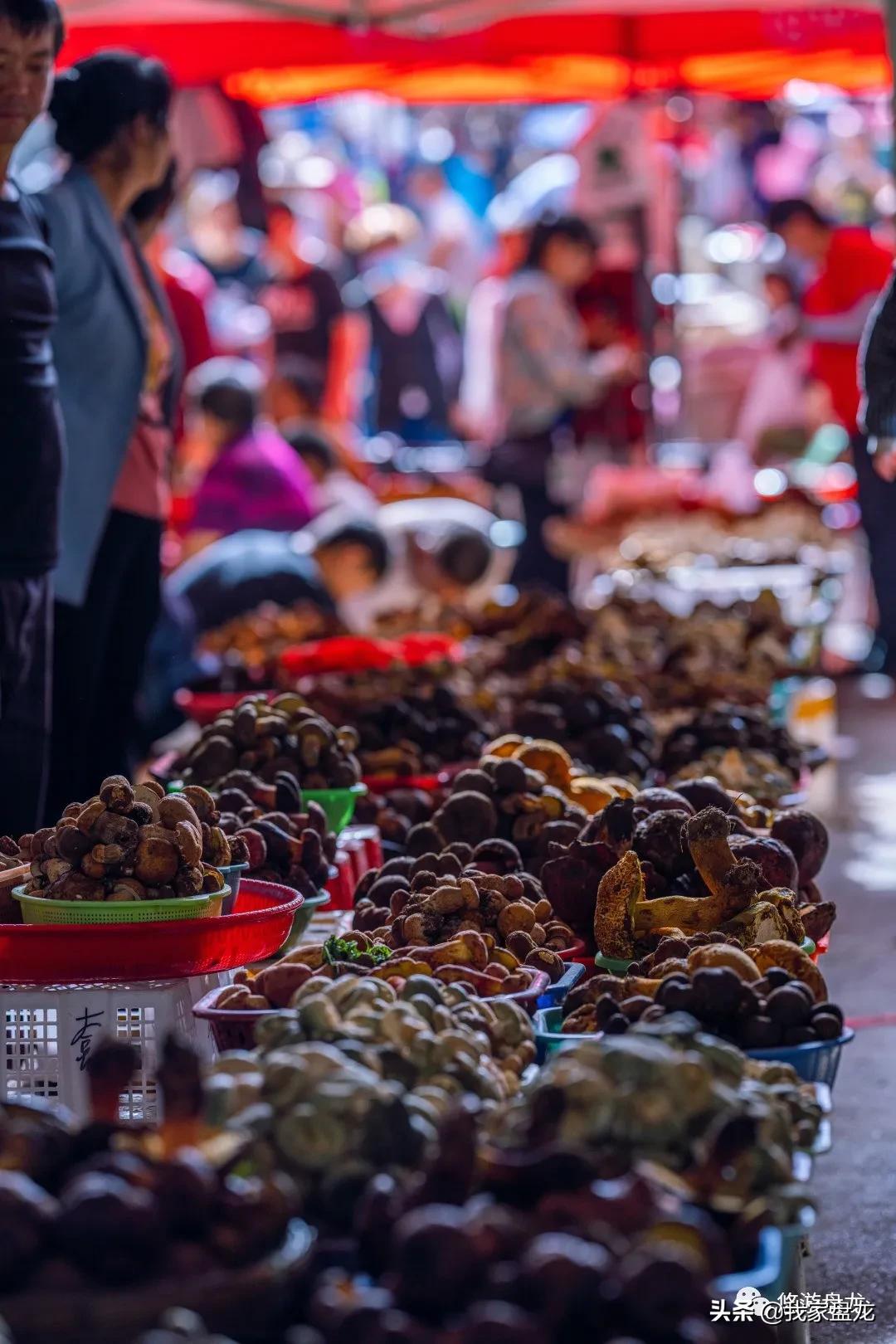 100张照片一百种幸福,100张图片带你去云南