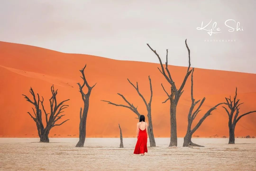 宁波旅行博主排行榜前十名,宁波旅行博主