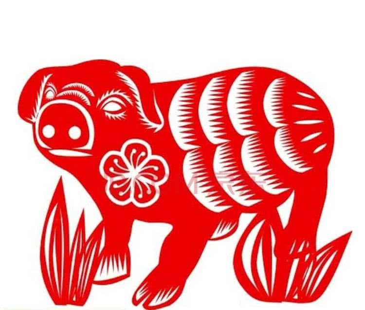 从丁亥到己亥—武昌水果湖中学六六届高三（1）班同学聚会本命年