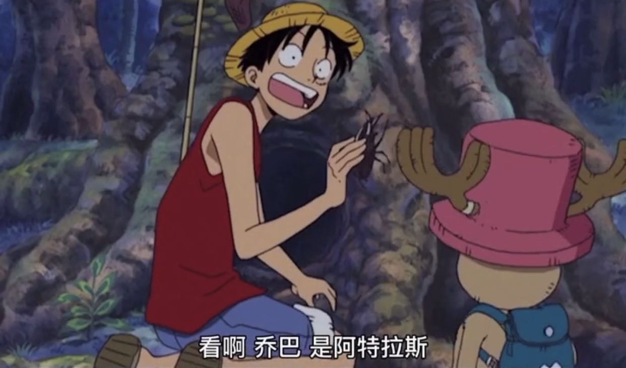 海贼王罗杰和路飞是什么关系,海贼王阿特拉斯复原了吗
