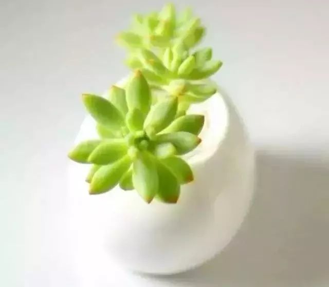 不要总说“明天”,世界上没有比现在还更有意义