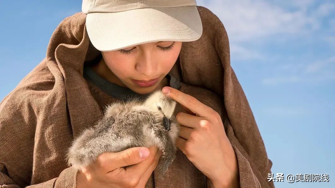 豆瓣8.8分看到最后才明白的电影,豆瓣8分以上电影