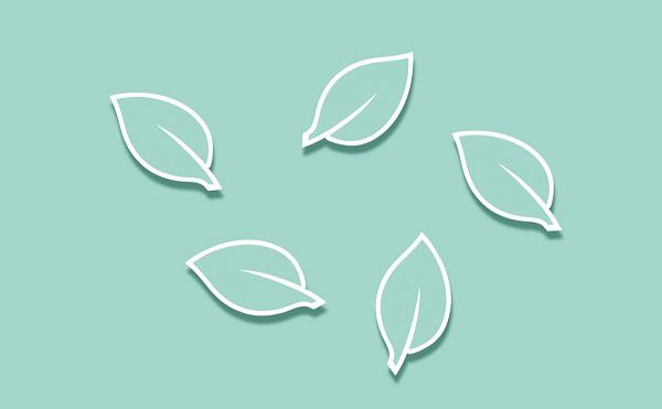 亚马逊跨境无货源可做吗,郑州跨境亚马逊无货源