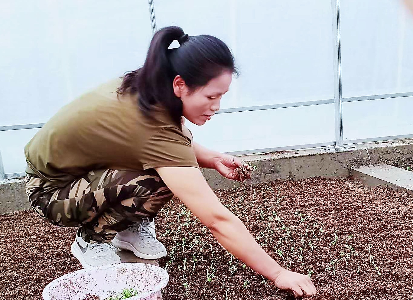 京蒙协作助推内蒙古乡村振兴,京蒙帮扶人员致富