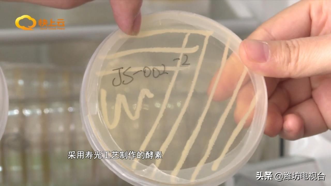 自制酵素真的这么神奇吗,环保酵素怎么改良土壤