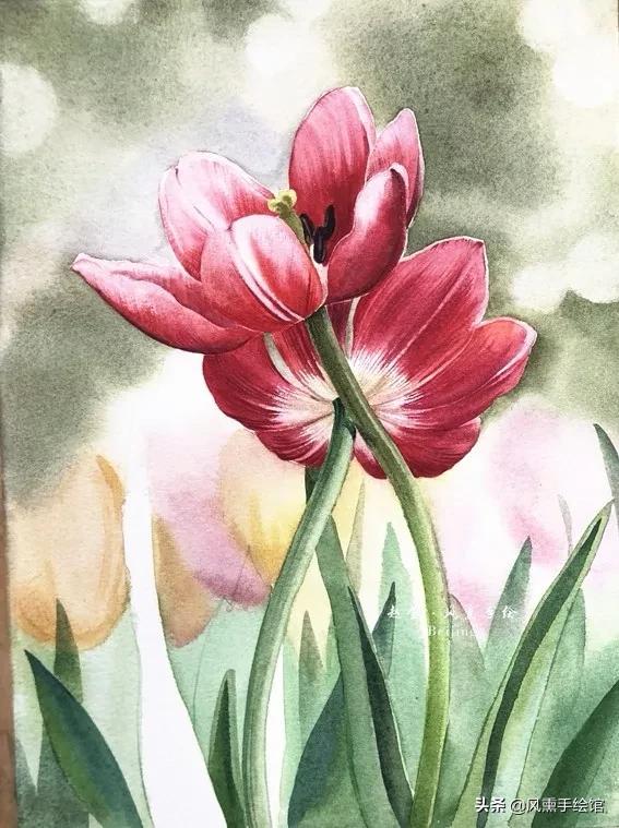 怎么用水彩笔画郁金香教程,粉色水彩郁金香怎么画图片