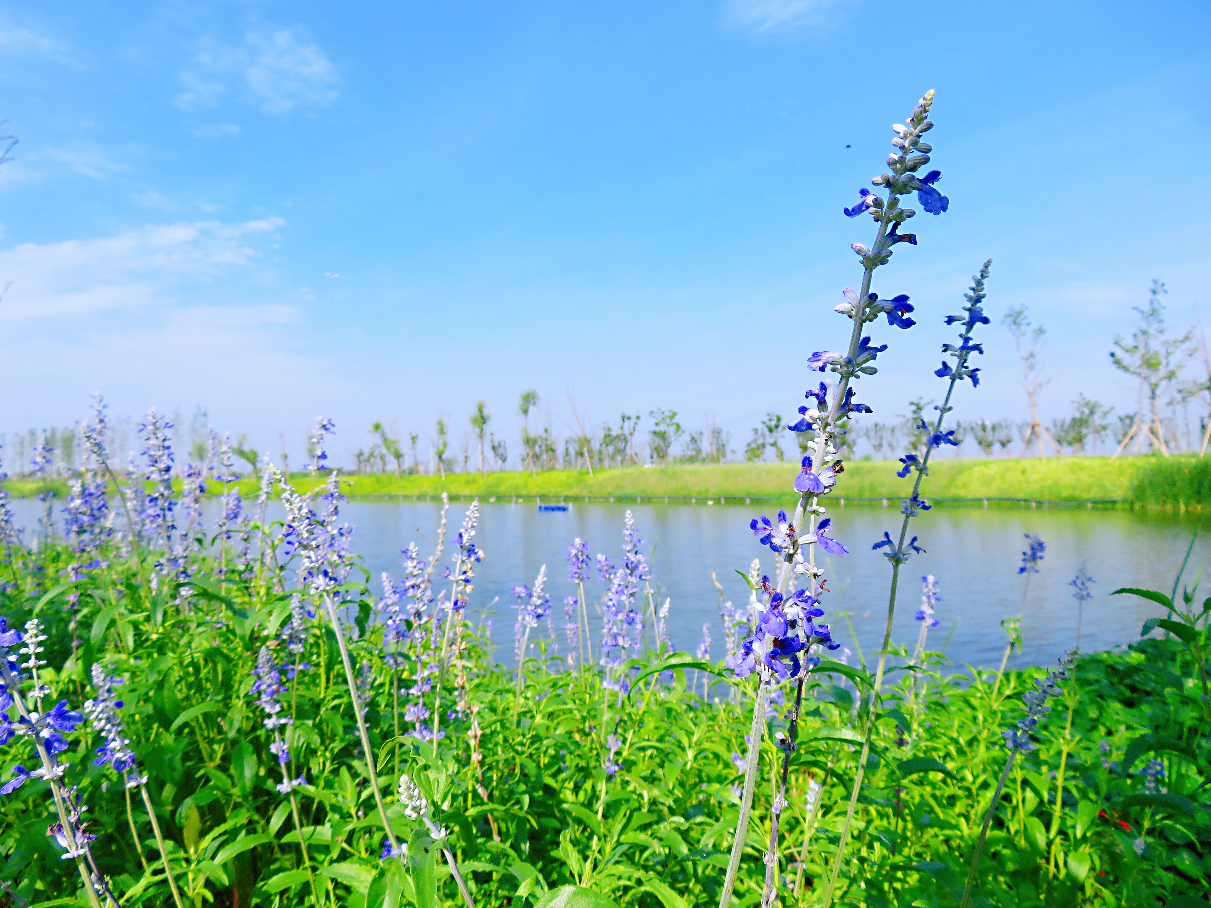 宁波附近野外游泳的地方有哪些,宁波哪里玩适合带小孩水上乐园