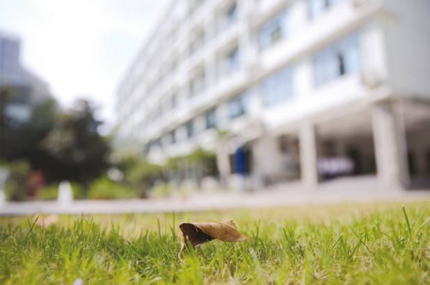 上海回不去的青春,上海市建平中学老照片