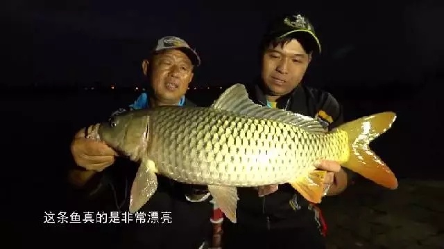 野钓大鱼怎么钓最好,野钓深水怎么钓大鱼
