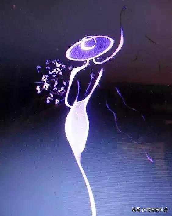 抗癌10年的真实经历小女孩,我的抗癌日记确诊之路