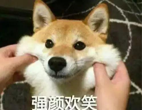 狗狗上厕所前刨地是什么意思,狗狗刨土啥意思