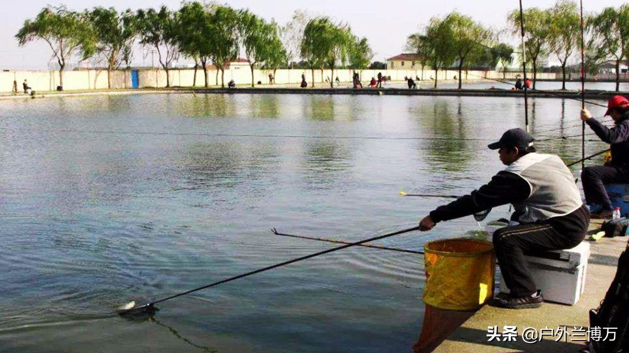 黑坑钓鲫鱼方法与技巧,黑坑钓鲫鱼的正确方法与技巧