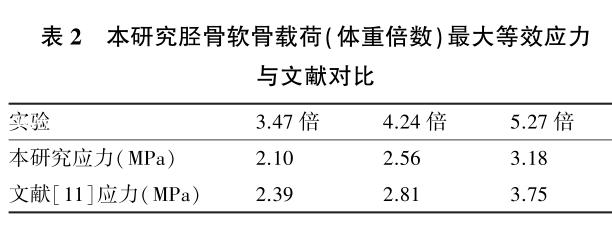 半月板后角二度真实模型,内侧半月板后角结构图