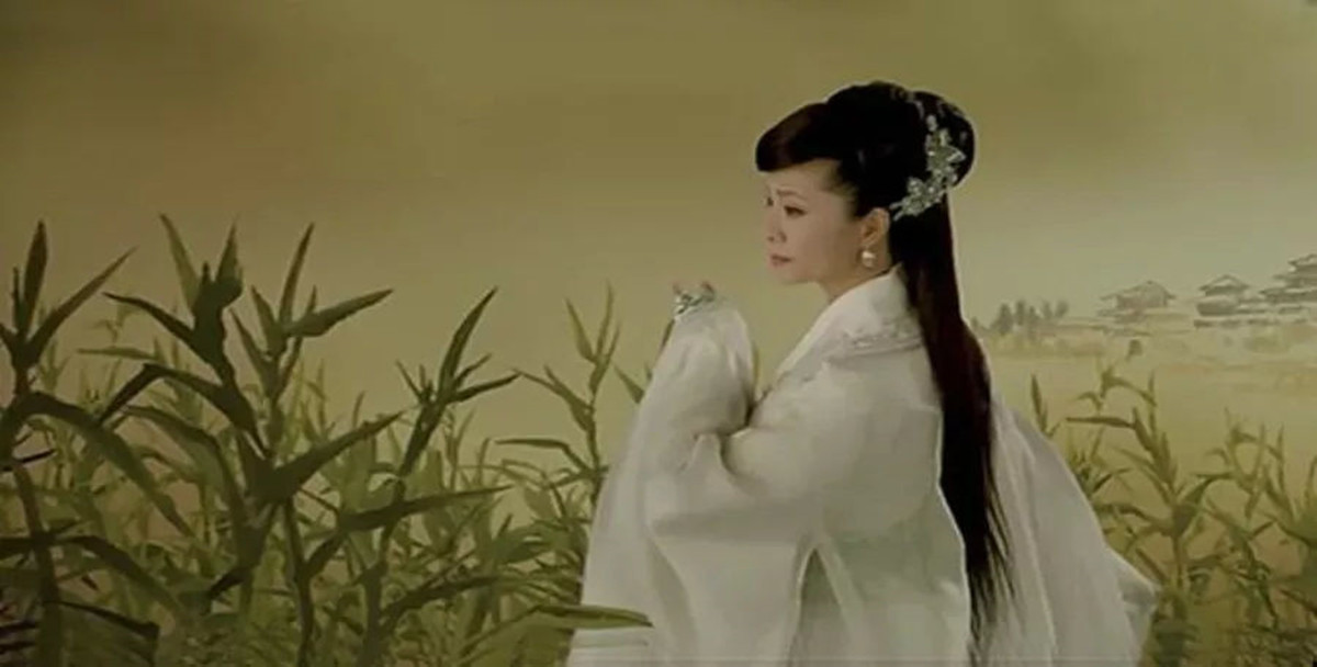 谈诗的鉴赏与写作讲座心得,谈古诗词鉴赏