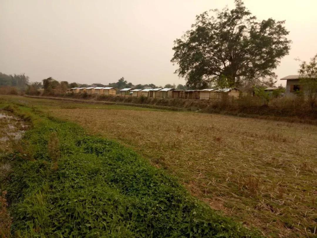 缅甸军人疫情最新通告,退役军人防疫期间的政策