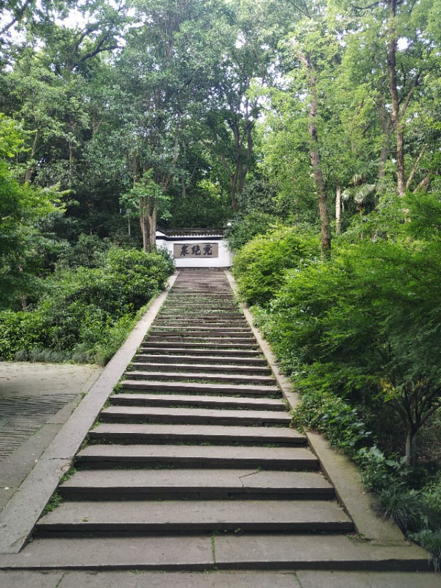 杭州西湖茶山游玩攻略,杭州西湖边游玩